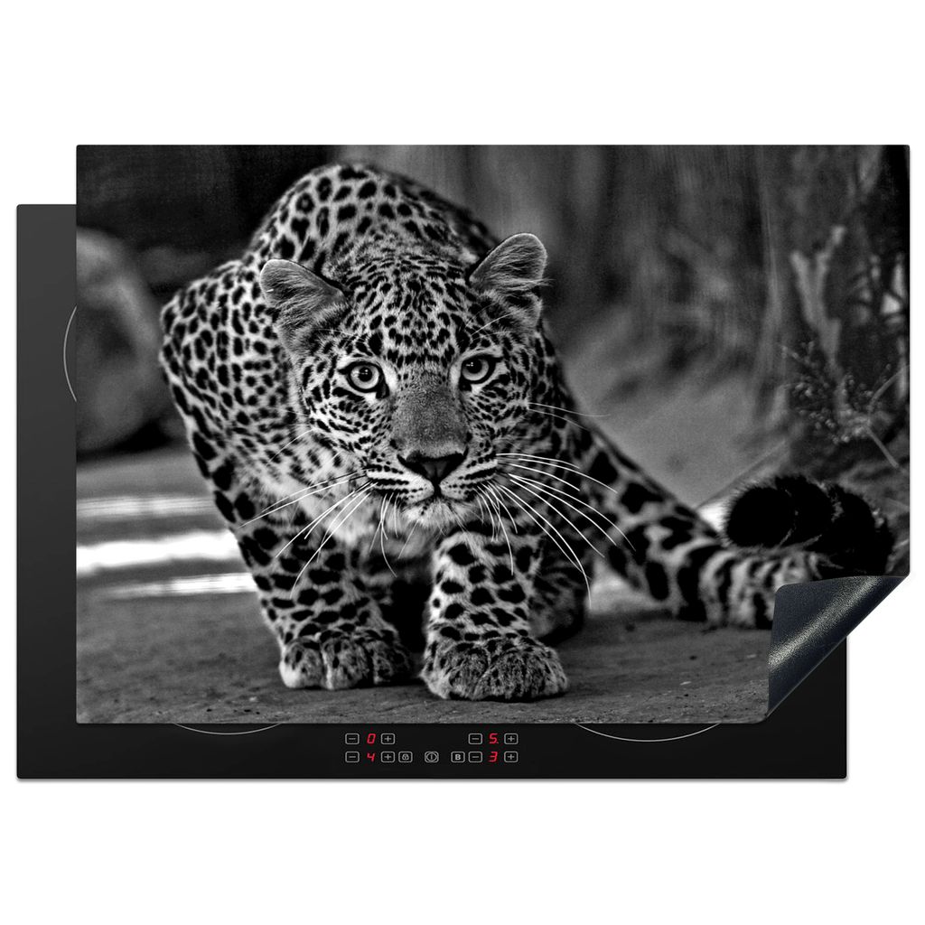 KitchenYeah Herdabdeckplatte Nahaufnahme Leopard - schwarz und weiß , 75x52cm, Küche Deko, Glaskeramikkochfeld Herdabdeckung, Abdeckplatte fùr...