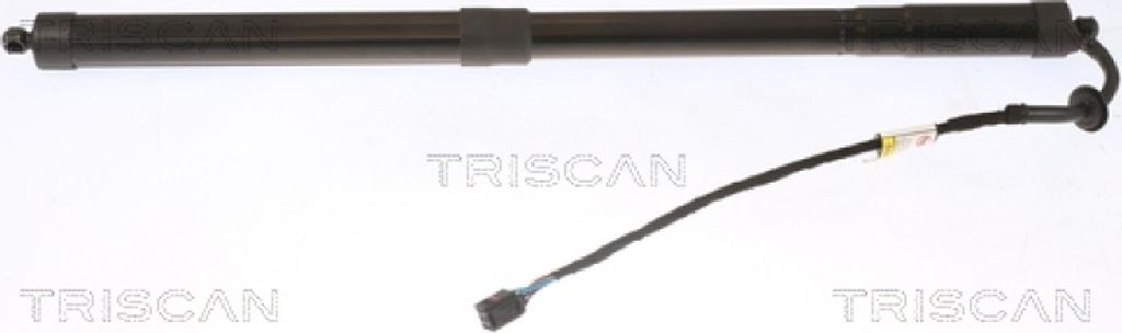 TRISCAN Gasfeder, Koffer-/Laderaum 8710 20303