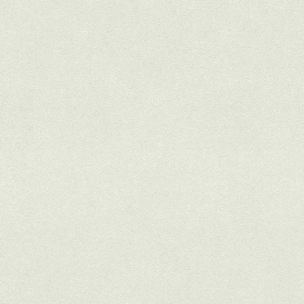 Vliestapete 467109 Tapete Uni Einfarbig 53 x 1005 cm Rasch Unsere Besten 2022 Beige