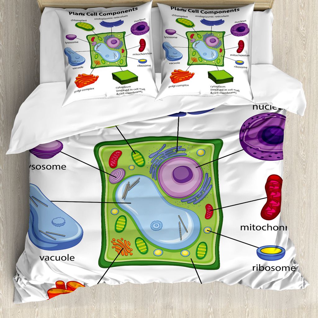 ABAKUHAUS Lehrreich Bettbezug, Cartoon Wissenschaft, Milbensicher Allergiker geeignet mit Kissenbezügen, 155 cm x 220 cm - 80 x 80 cm, Mehrfarbig