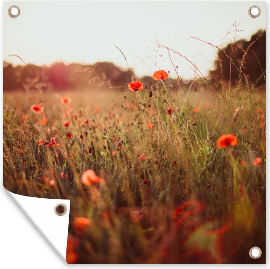MuchoWow 50x50 cm Outdoor-Poster Gartendeko Sichtschutz Garten Poster für den Garten Sonnenuntergang - Blumen - Rot
