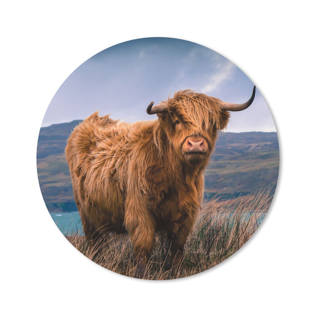 MuchoWow Mauspad Mousepad Schottischer Highlander - Berg - Wasser - Natur - Kuh 50x50 cm - Mousepads - Maus Mat - Pad - Mausunterlage - Vinyl