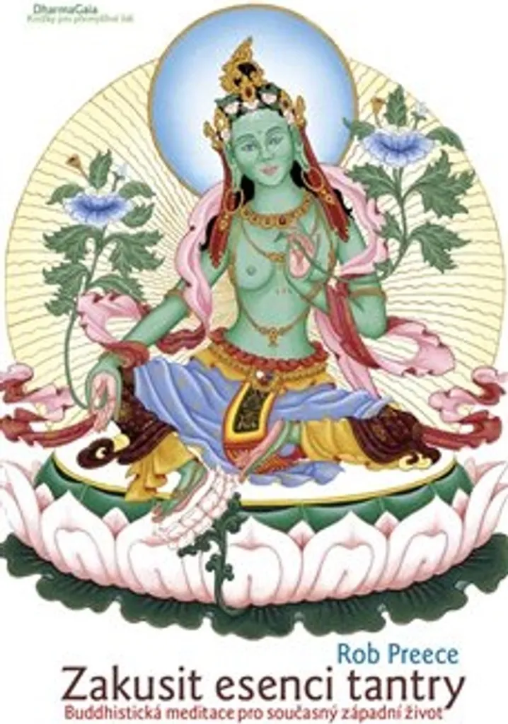 Livre Méditation Bouddhiste et Tantra : Manuel Pratique par Rob Preece