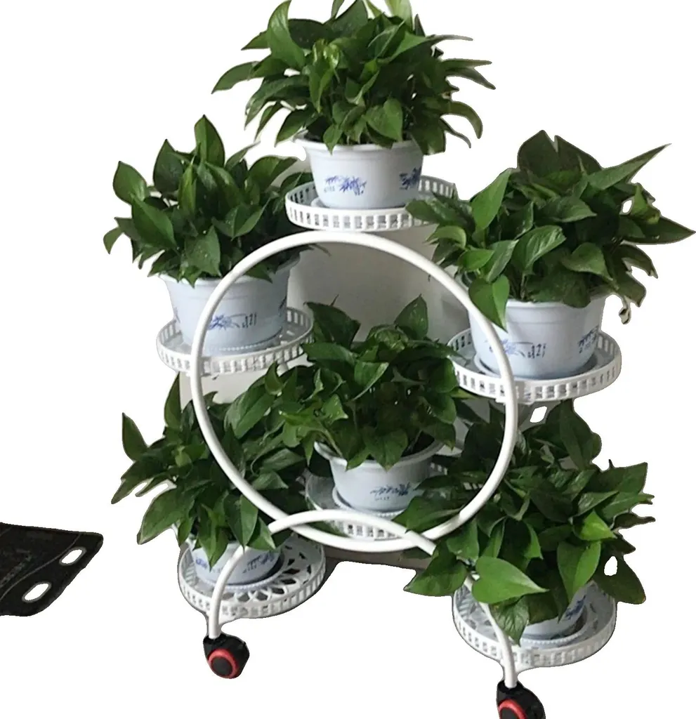Support de fleurs vertical pour balcon et salon, cadre en métal compact