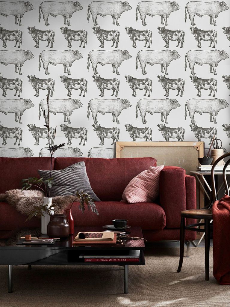 Coloray Fototapete 290x290 cm An Einer Wand Latex Latextapete - Ländliche Kühe