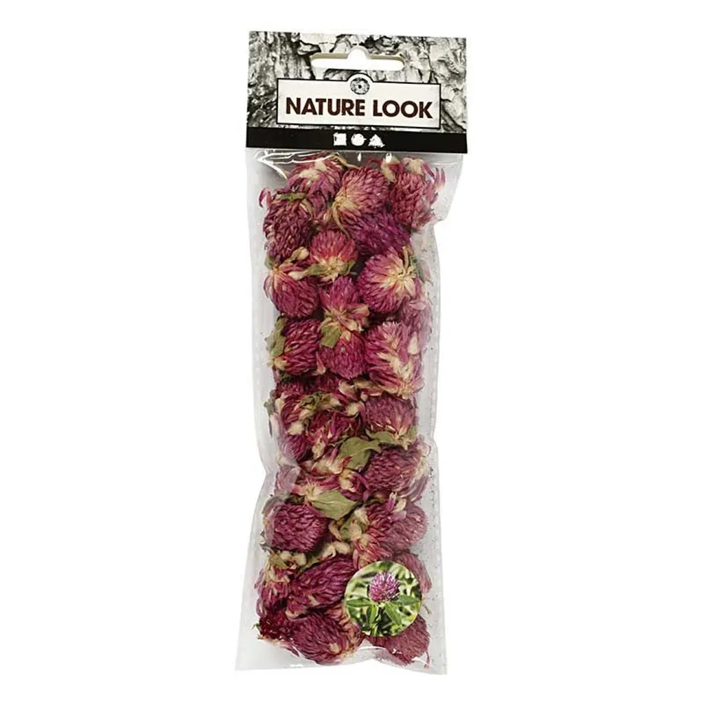 Trèfle rouge violet séché 15g : la solution pour vos herbiers durables