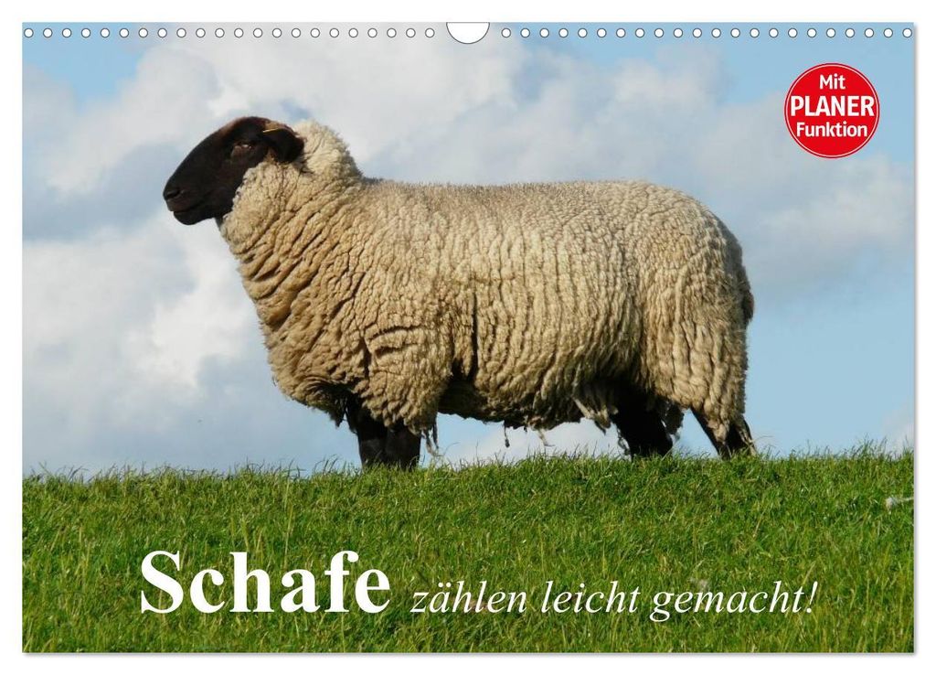 Schafe zählen leicht gemacht! (Wandkalender 2027 DIN A3 quer), CALVENDO Monatskalender
