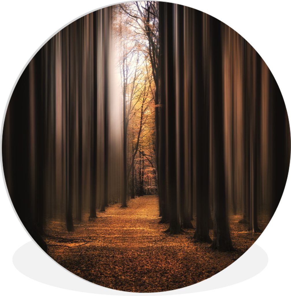 MuchoWow Rundes Wandbild - Runde Bilder Waldweg - Bäume - Illusionen - Wald - Rot - Laub Ø 60 cm Kreis Wanddekoration Kunststoff - Wandkreis - ...