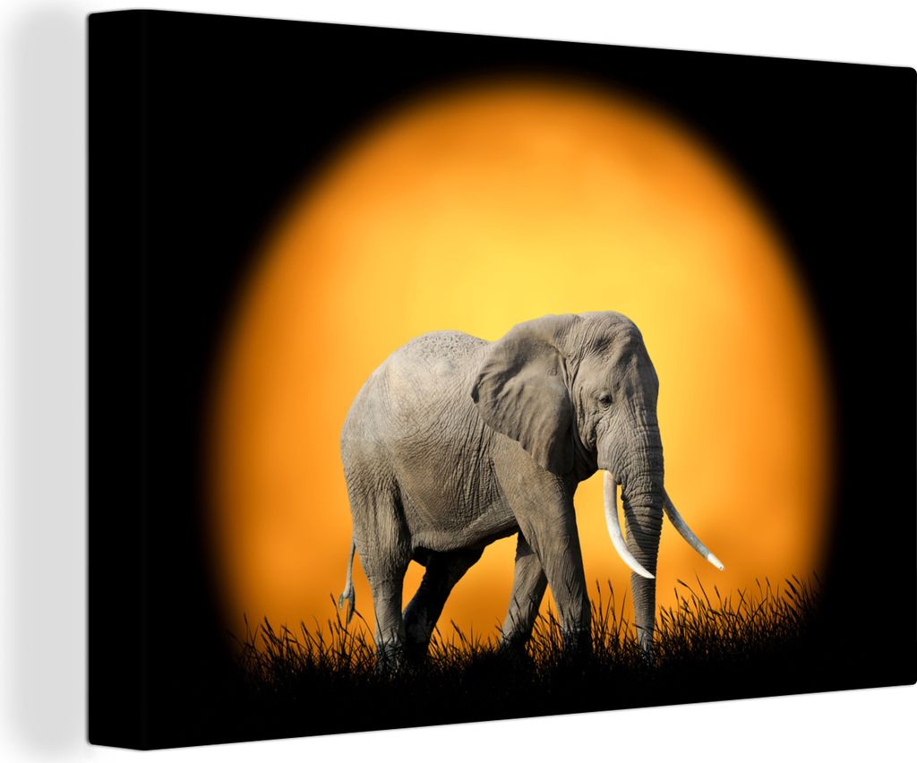 OneMillionCanvasses - Leinwandbilder - 150x100 cm, Elefant - Sonne - Gras, Wandbilder Kunstdruck Wanddekoration
