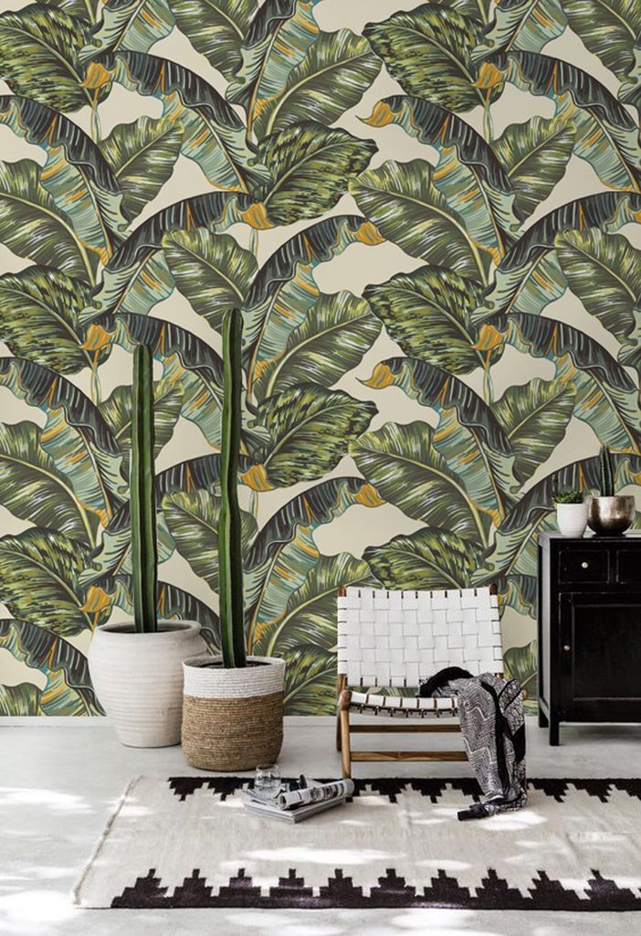 Coloray Fototapete 104x70 cm Latextapete Magicstick - Palm verlässt Bananenblatt