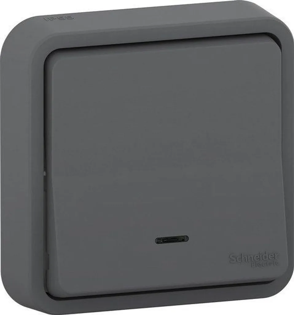 Schneider Electric Mureva Styl: Il Pulsante Stagno Antracite LED