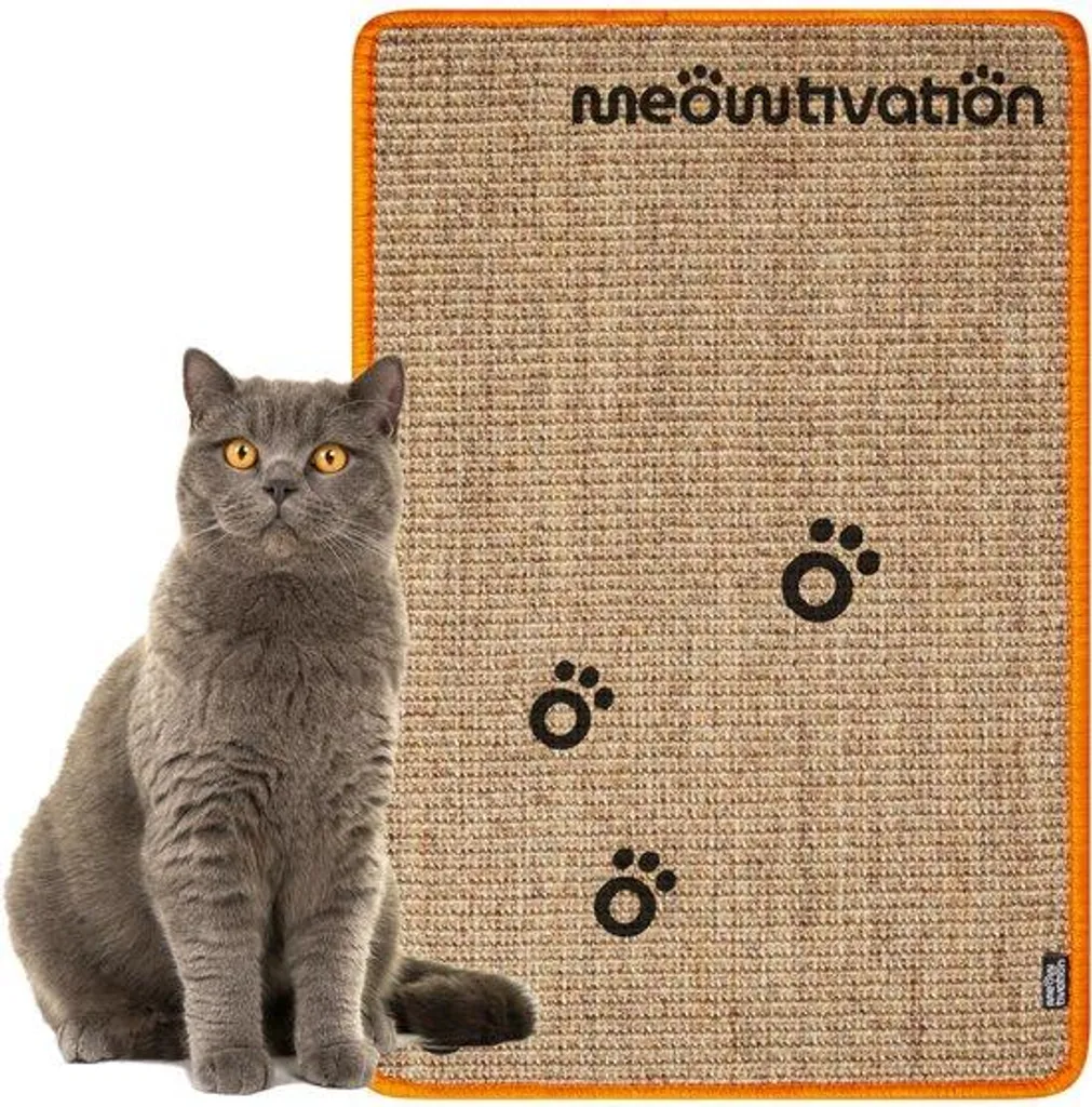 Tapis à griffer pour chats d'appartement, protection meubles 60x40cm