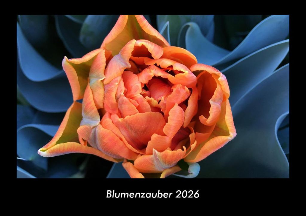 Blumenzauber 2026 Fotokalender - Querformat DIN A3, Monatskalender mit Bild-Motiven aus Fauna und Flora, Natur, Blumen und Pflanzen