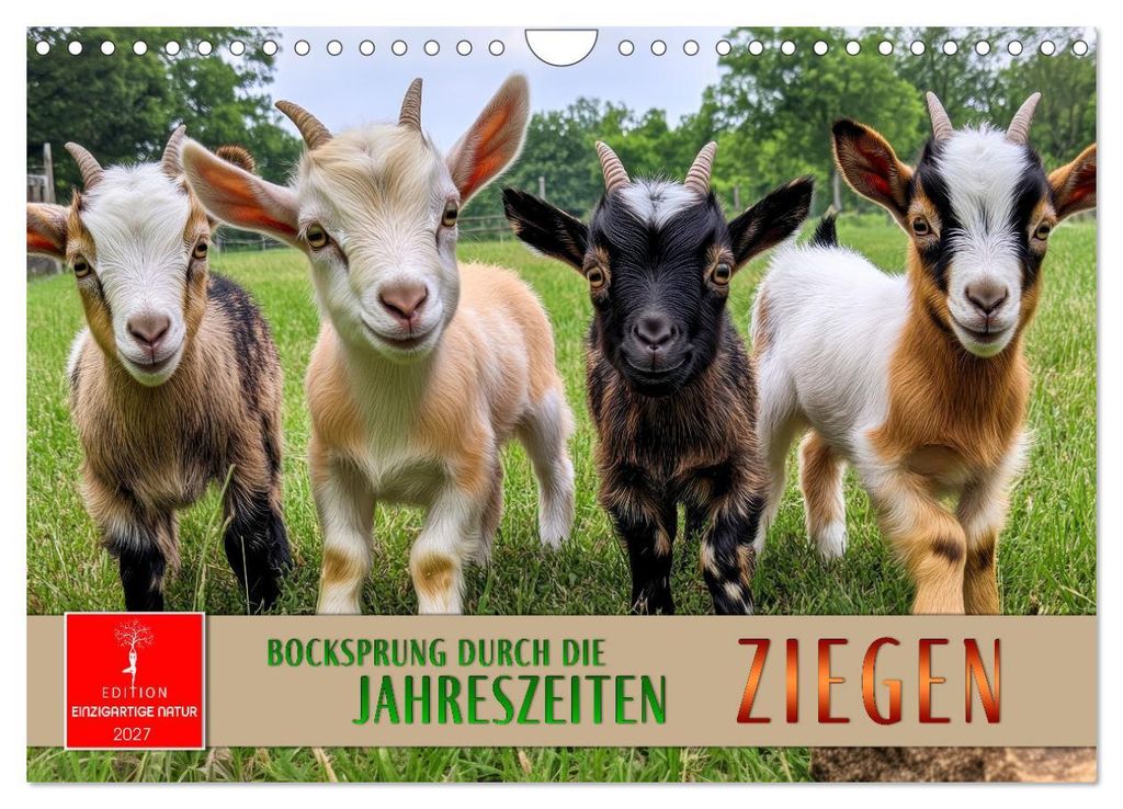 Ziegen - Bocksprung durch das Jahr (Wandkalender 2027 DIN A4 quer), CALVENDO Monatskalender