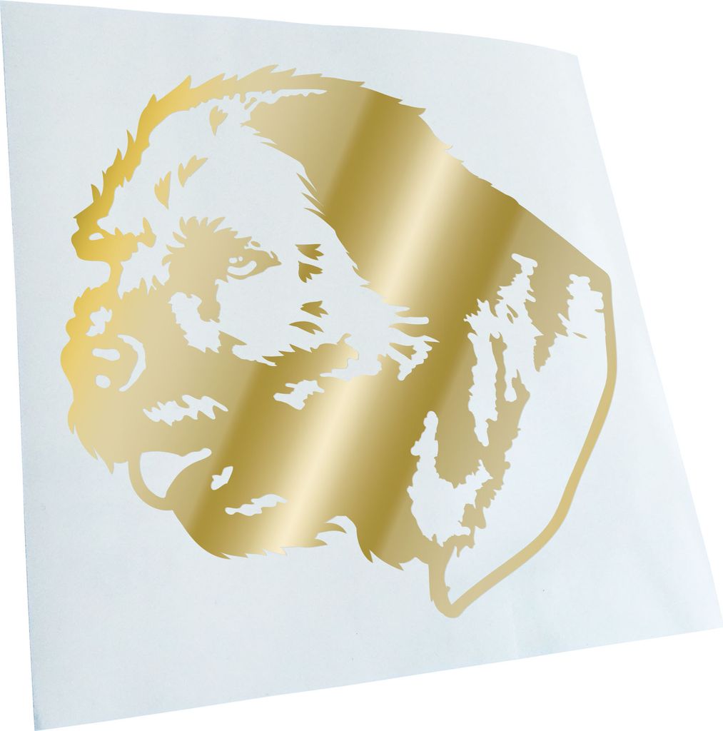 Kiwistar - Autoaufkleber - Border Terrier Hund - Goldchrom - 40x36cm - Aufkleber für Auto, Laptop, Fahrrad, LKW, Motorrad Mehrfarbig JDM Decal Racing