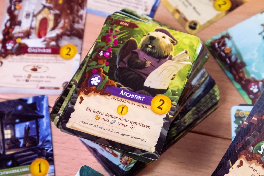 Everdell Collection complète DE 57609G - Intégrale du Jeu de Plateau