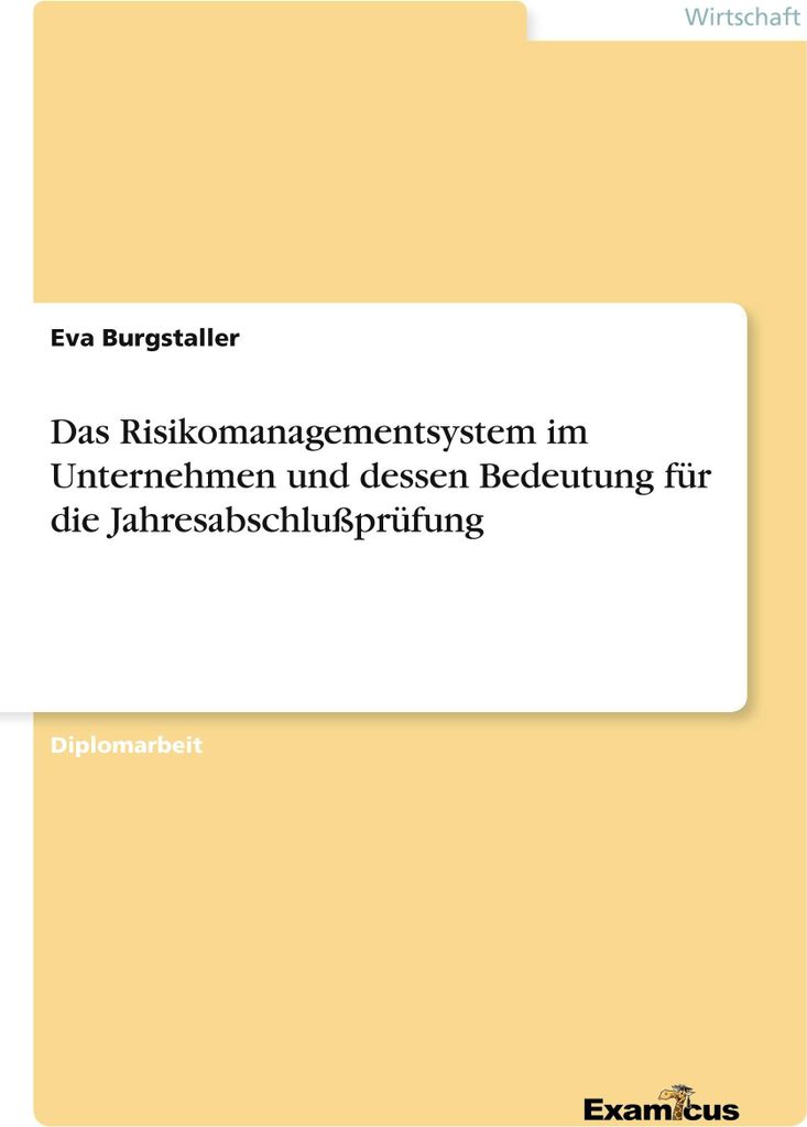 Das Risikomanagementsystem im Unternehmen und dessen Bedeutung für die Jahresabschlußprüfung