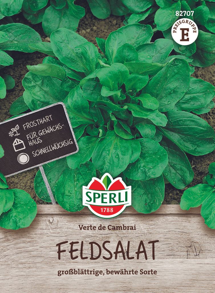 SPERLI Feldsalatsamen Verte de Cambrai Valerianella locusta Produktbild 