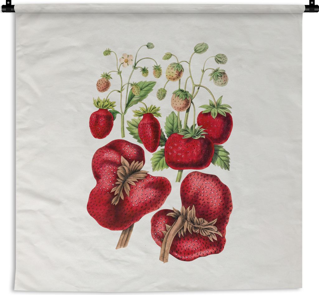 MuchoWow Wandteppich Wandbehang Erdbeeren - Obst - Lebensmittel 60x60 cm Tapisserie Dekoration Wandtuch - Dekorationen - Wand Decke