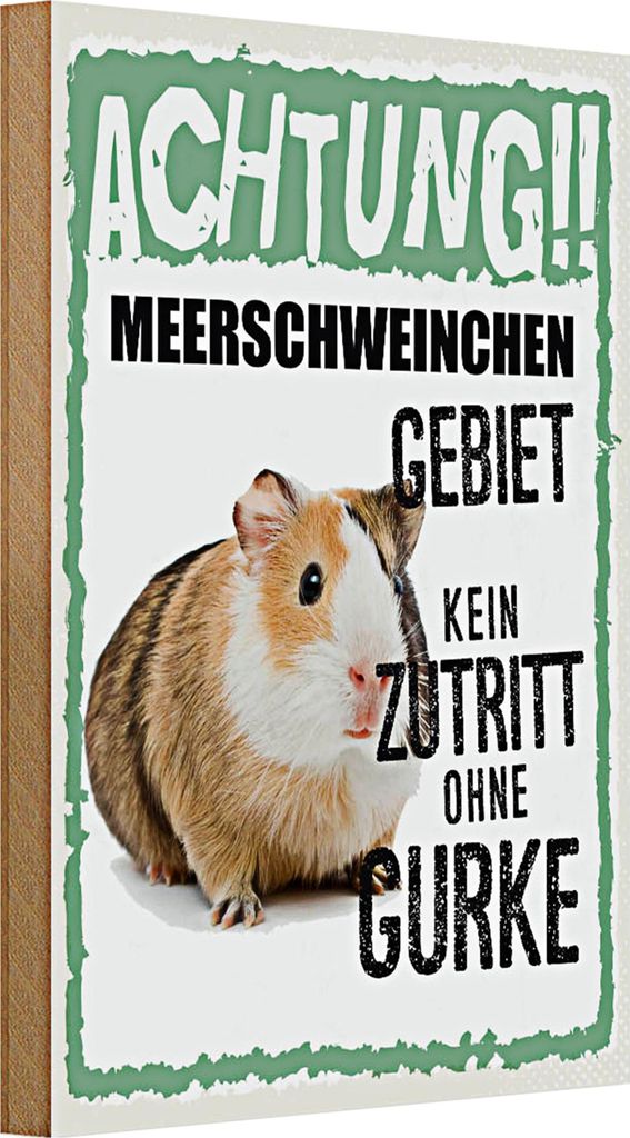 Holzschild Spruch 20x30cm Achtung Meerschweinchen kein Zutritt ohne Gurke