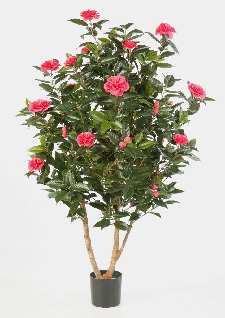 artplants.de Deko Kamelie Japonica, 1000 Blätter, 32 Blüten, rosa, 150cm - Künstlicher Baum - Kunstblume