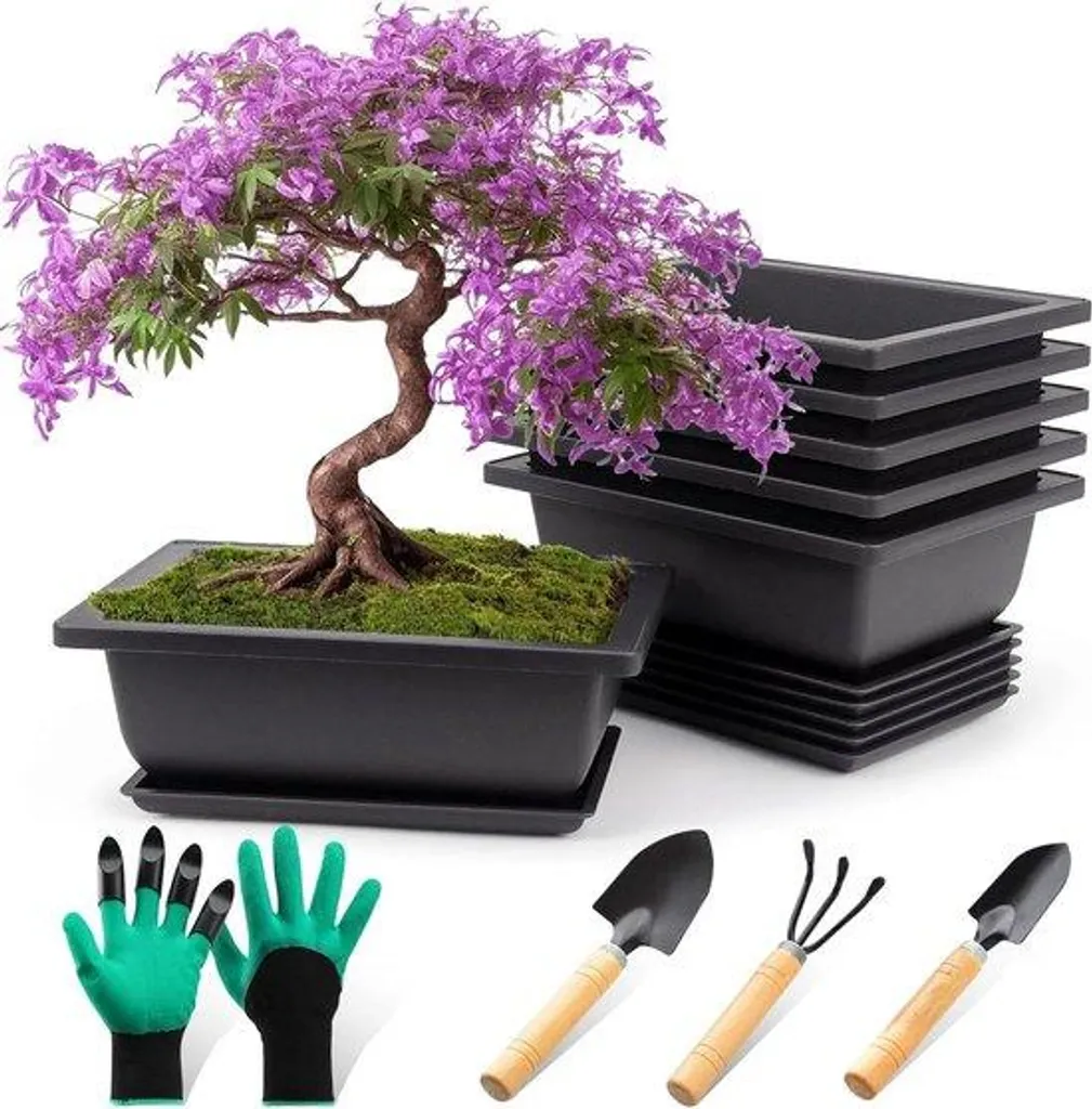 Jardinières bonsaï anti-fuite avec support, lot de 6 pots pour décoration