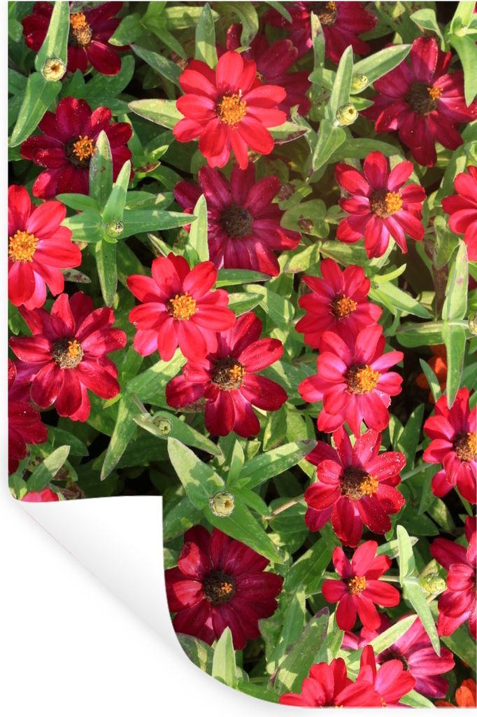 MuchoWow - Repositionierbar - Wasser abweisend