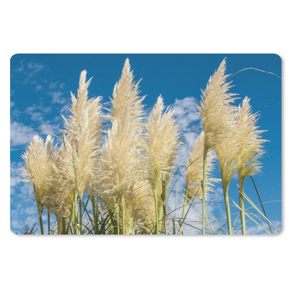 MuchoWow Schreibtischunterlage Pampasgras - Pflanze - Natur 60x40 cm - XXL Mauspad - Großes Mauspad