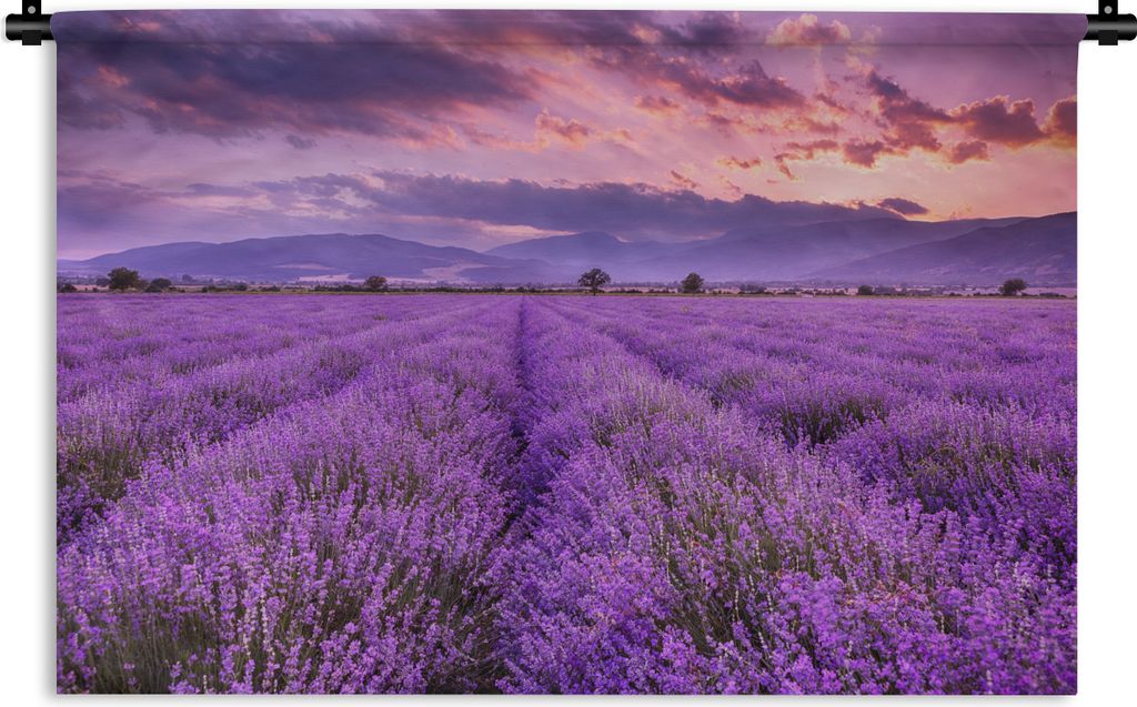 MuchoWow Wandteppich Wandbehang Lavendel - Lila - Blumen - Feld 150x100 cm Tapisserie Dekoration Wandtuch - Waschbar - Tapisserien - Wand-Decke