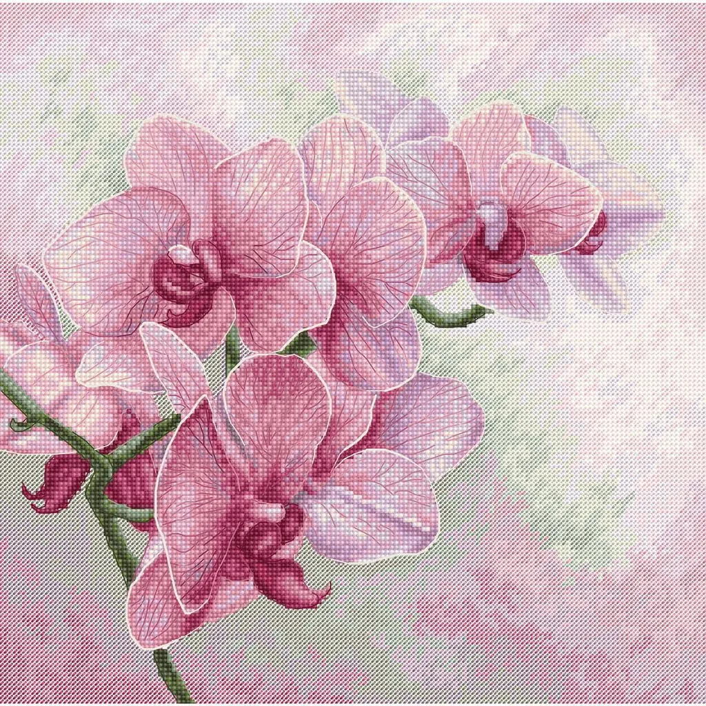 Loisir créatif point de croix complet Orchidées pour débutants