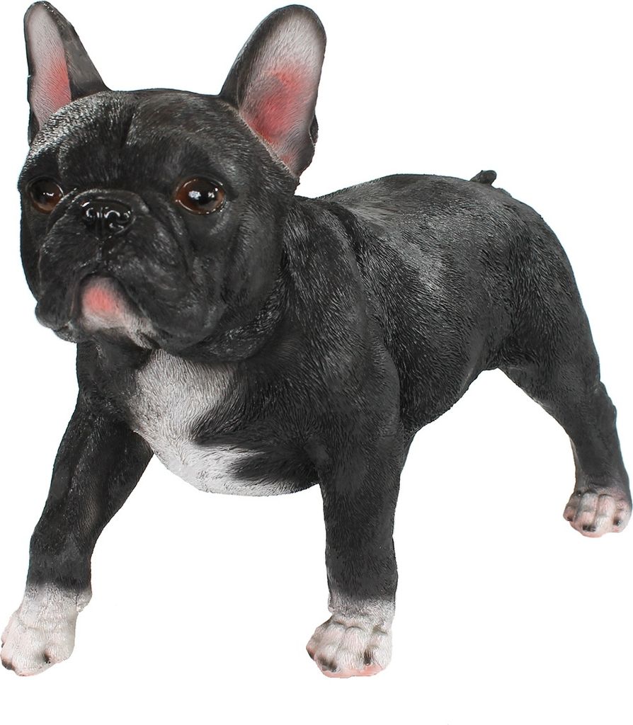 Schne Franzsische Bulldogge Figur Fotos