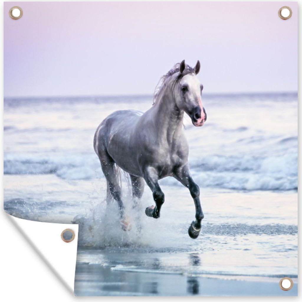 MuchoWow 100x100 cm Outdoor-Poster Gartendeko Sichtschutz Garten Poster für den Garten Pferd - Meer - Pastell