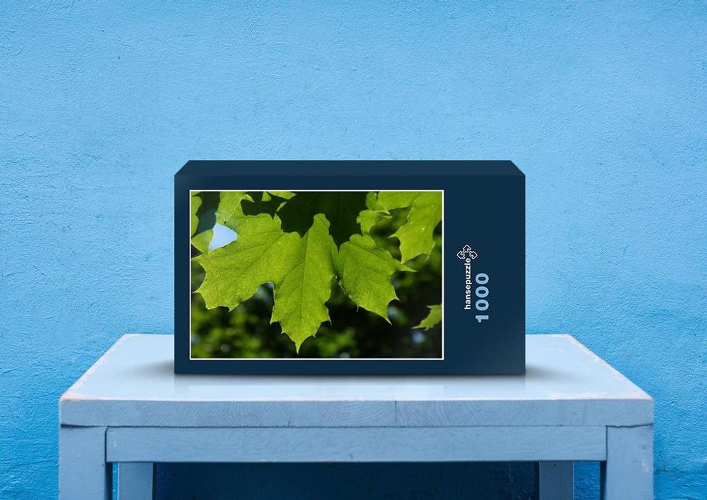 hansepuzzle 44144 - Blätter Puzzle, 1000 Teile, Natur, 60,0 x 46,0cm mit hochwertiger Aufbewahrung, Kartonbox und wiederverschließbarem Beutel