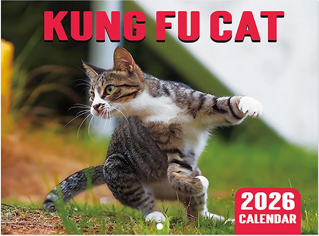 Wandkalender 2026, Januar 2026 – Dezember 2026, 12 Monatsplaner, Wandkalender zum Aufhängen mit lustigen Hunde-/Katzenbildern für Schule, Zuhau...