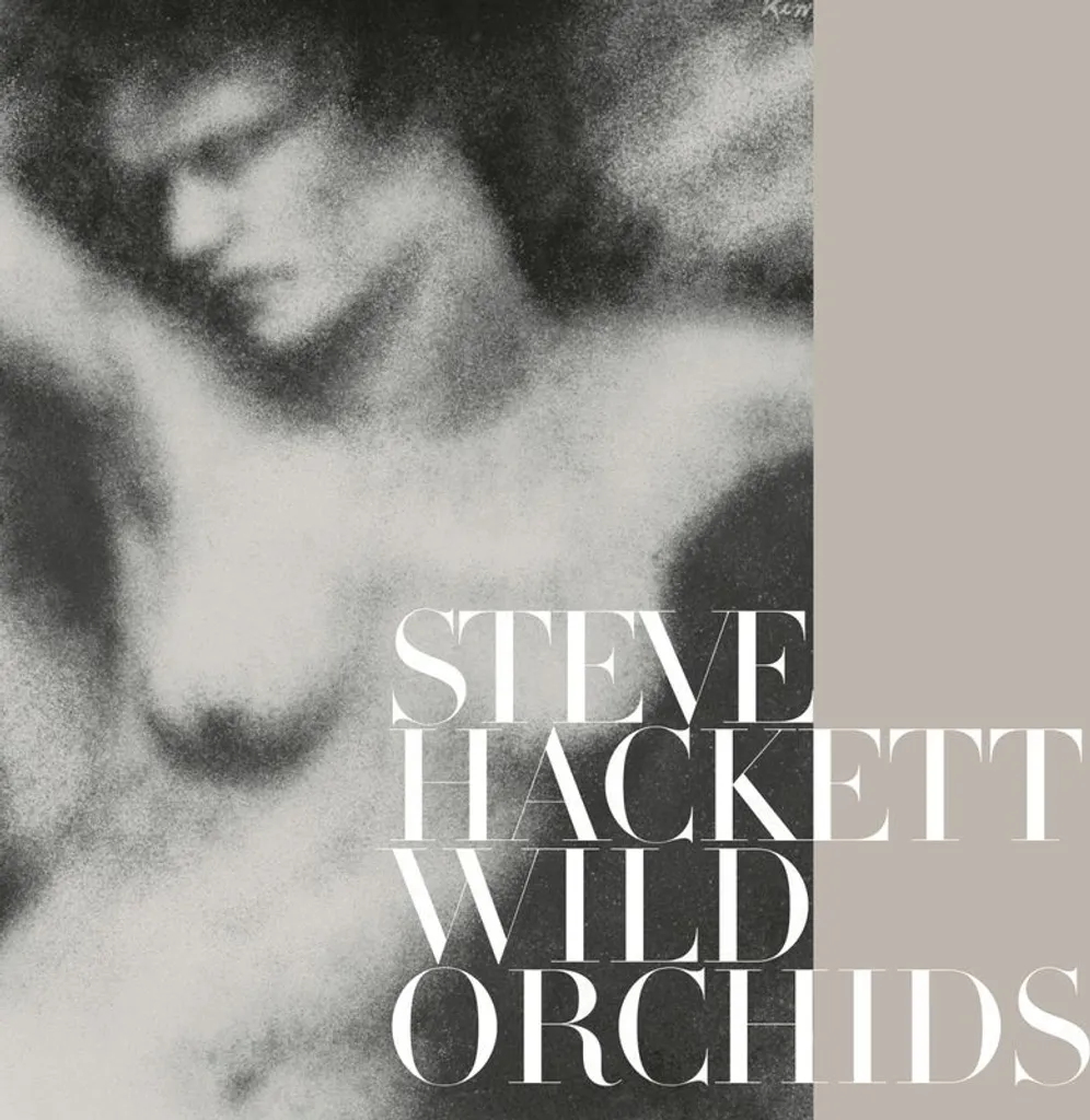 Steve Hackett Wild Orchids Réédition 2 LP Vinyle Haute Fidélité Son