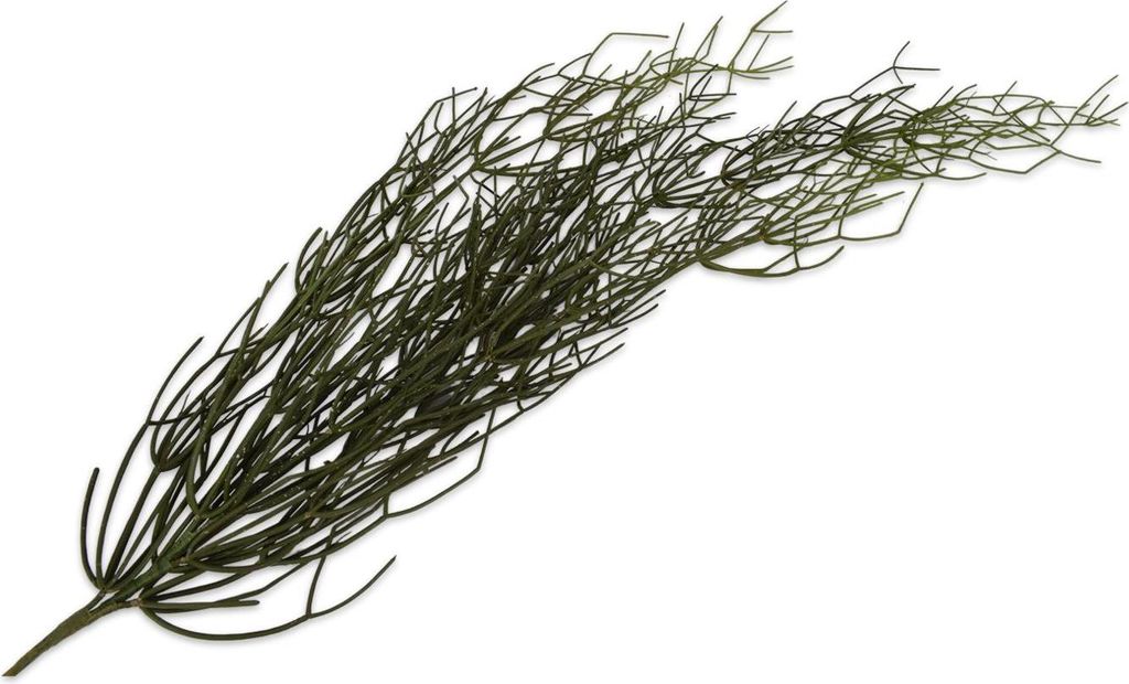 Künstliche Hängepflanze Silk-ka für den Innenbereich, Sukkulente, Grün, 116 cm