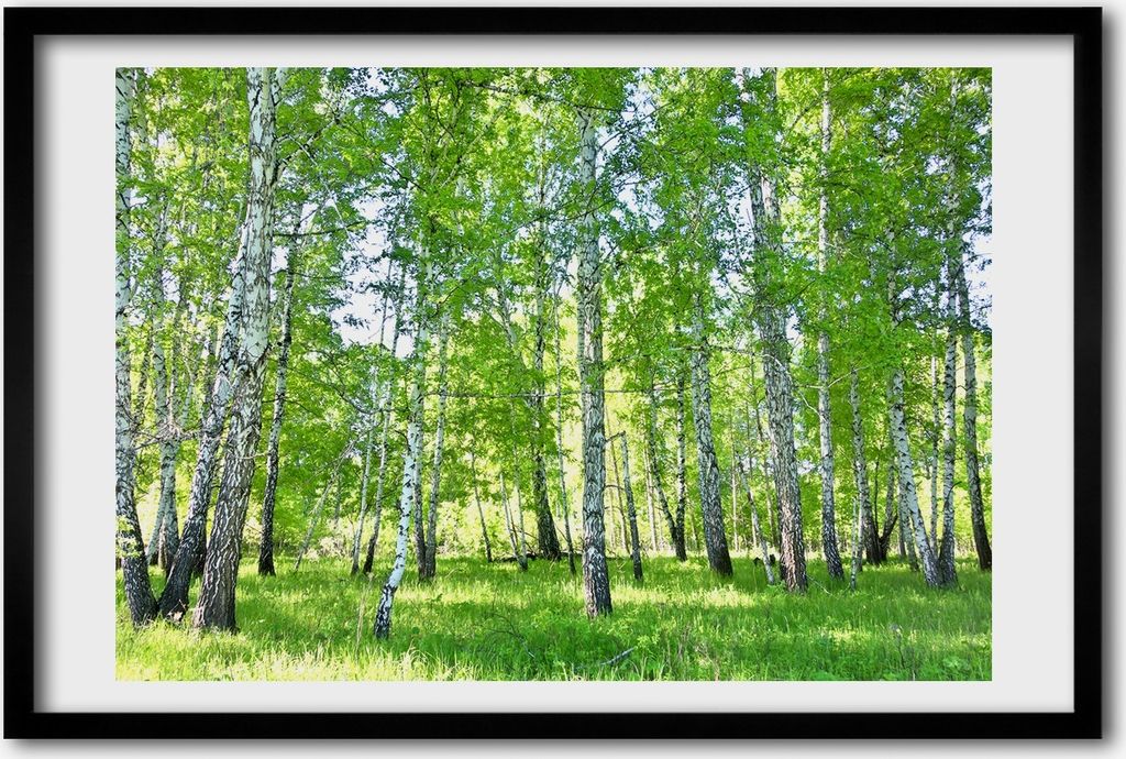 Bild 60x40 MDF-Rahmen, Wandkunst Birken