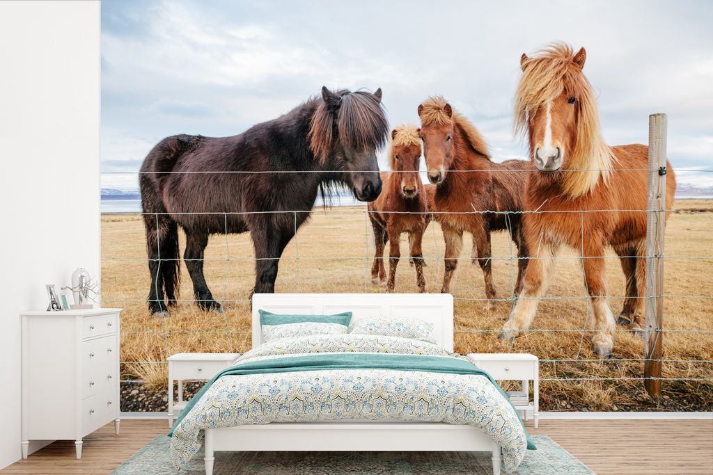 MuchoWow Fototapete für Wohnzimmer oder Schlafzimmer Wandtapete Vinyl Motivtapete Isländische Ponys hinter einem Zaun - 390x260 cm - Papiertapete
