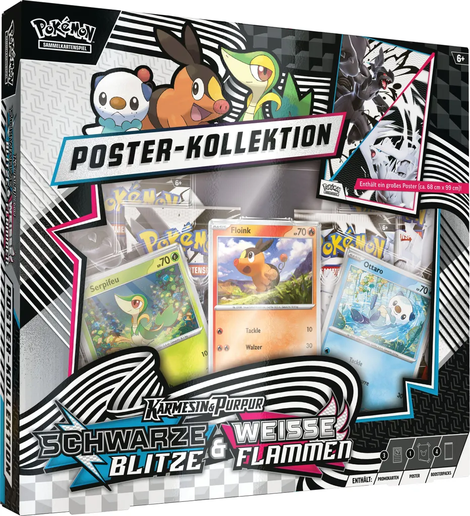 Posters Pokémon KP10.5 Haute Qualité Flammes Blanches Version Allemande