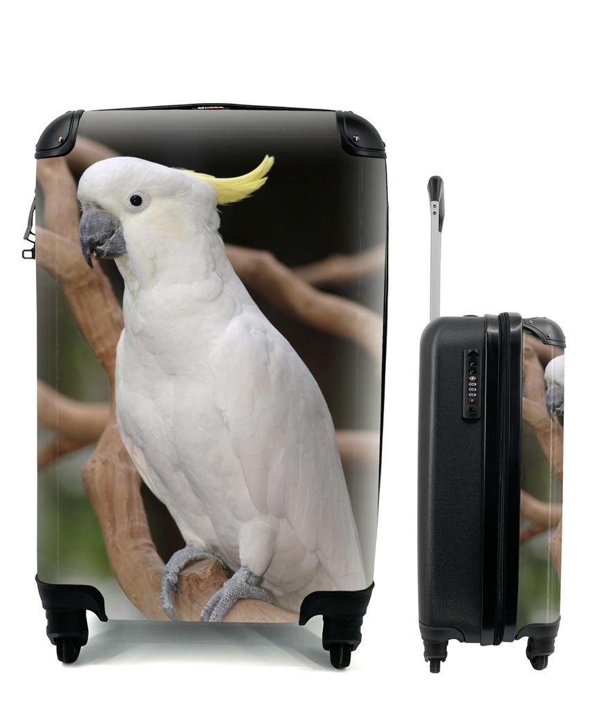 MuchoWow Koffer Handgepäck Trolley Rollkoffer Kleine Reisekoffer mit 4 Rollen - Weißer Kakadu mit gelbem Kamm in einem Baum - Cabin Size < 55x4...