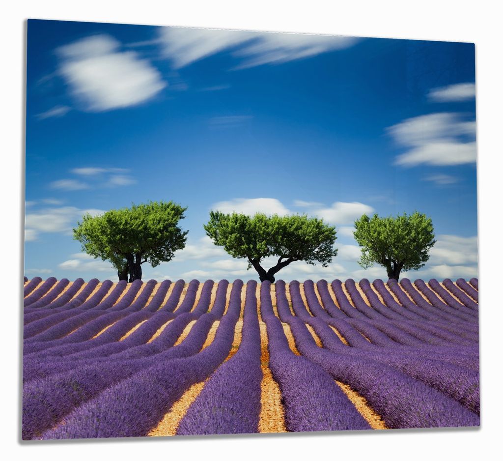 Wallario Herdabdeckplatte aus Glas, Größe 60 x 52 cm 1-teilig, Motiv Abstraktes lila Blumenfeld mit Lavendel