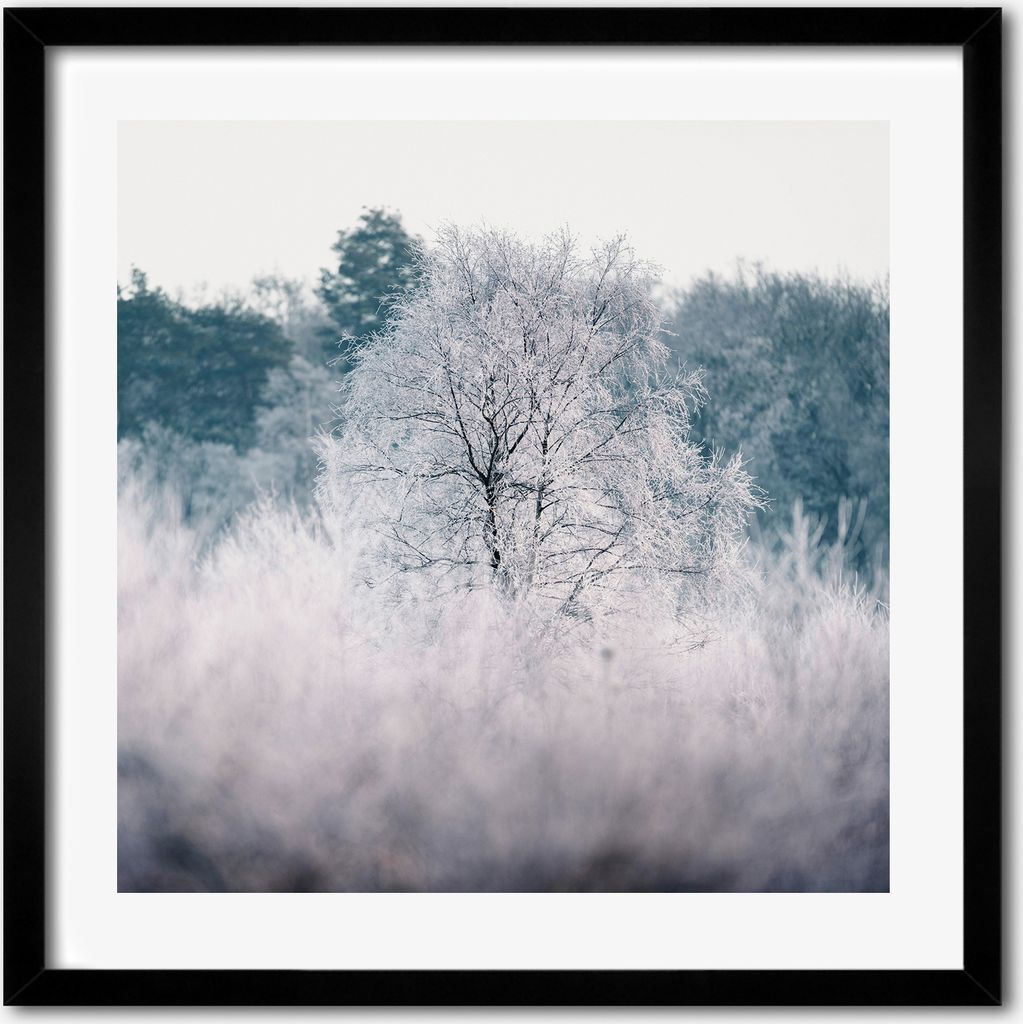 Bild - 50 cm x 50 cm - MDF - Rahmen, Wandkunst - Winter Bäume