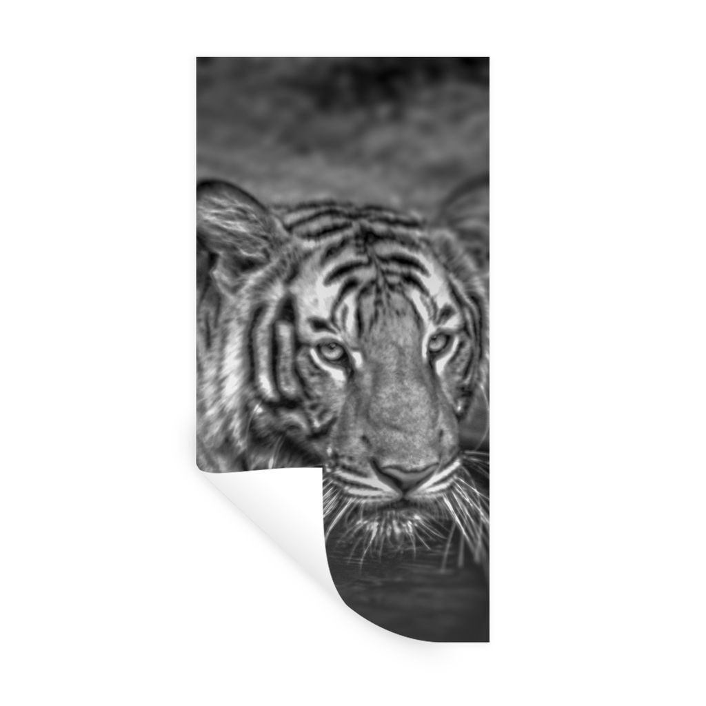 MuchoWow Wandtattoo Wandsticker Wandaufkleber Tiger - Wasser - Schwarz - Weiß 20x40 cm Selbstklebend und Repositionierbar - Selbstklebend - Foto...