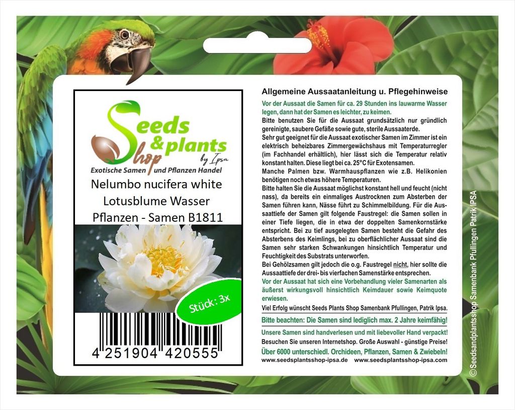 3x Nelumbo nucifera white Lotusblume Wasser Pflanzen - Samen B1811