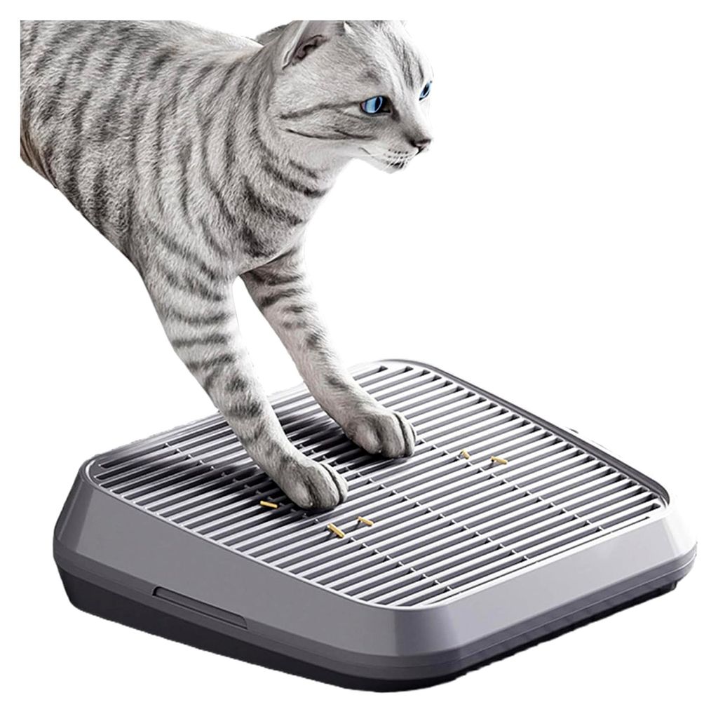 Katzentoilette mit Filterfunktion, doppellagige Rampe, leicht zu reinigen, geeignet für kleine und ältere Katzen (grau), Einlagen