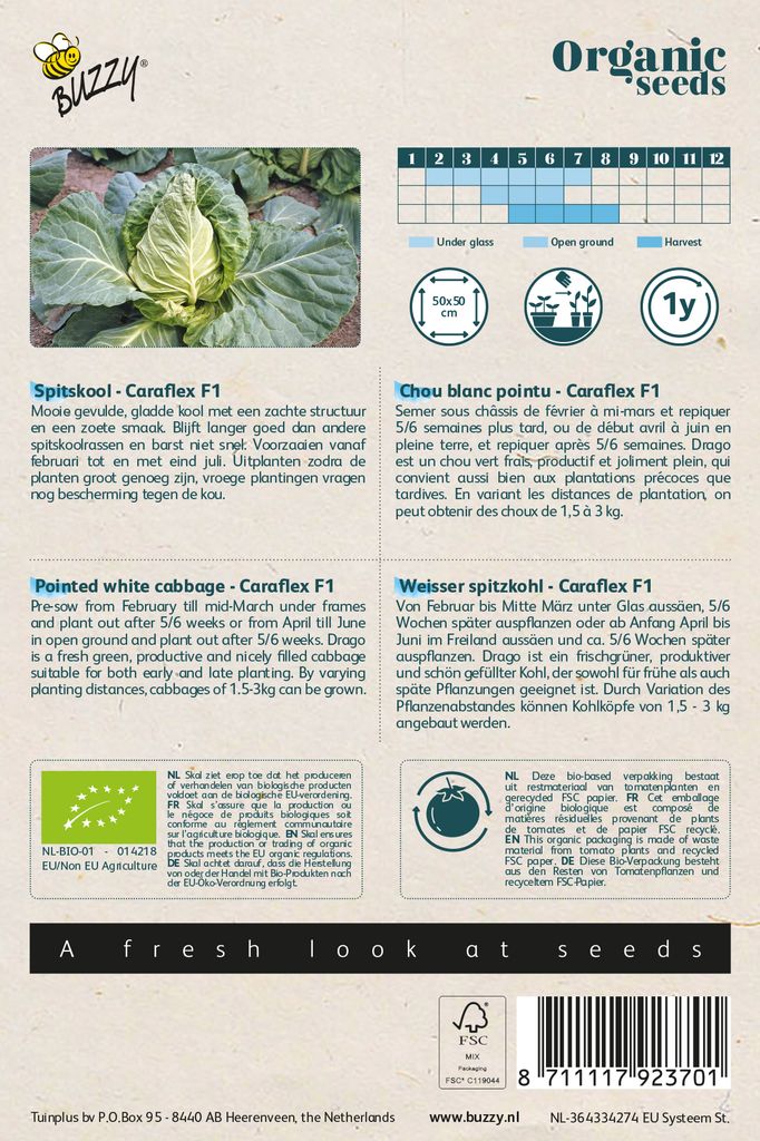 Weißer Spitzkohl Caraflex F1 | Weißkohlsamen von Buzzy Seeds