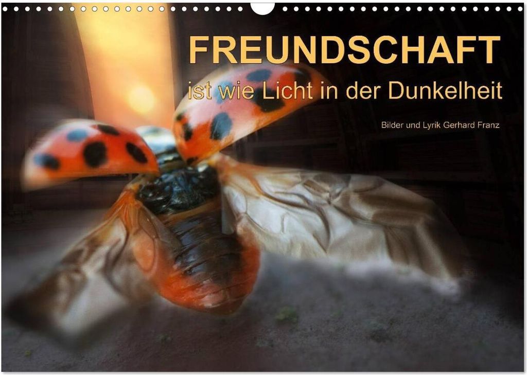 Freundschaft (Wandkalender 2026 DIN A3 quer), CALVENDO Monatskalender