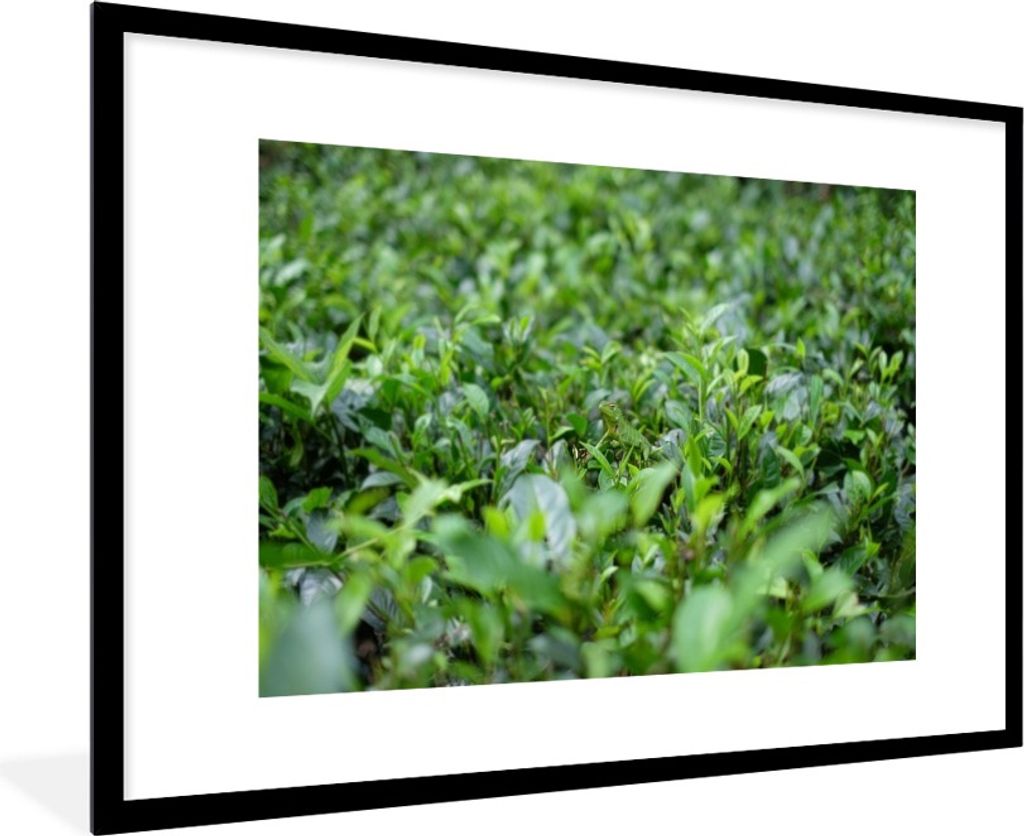 MuchoWow MuchoWow Gerahmtes Poster Grünpflanzen auf tropischem Boden 90x60 cm - Poster mit zchwarzem Bilderrahmen - Wanddekoration - Fotos