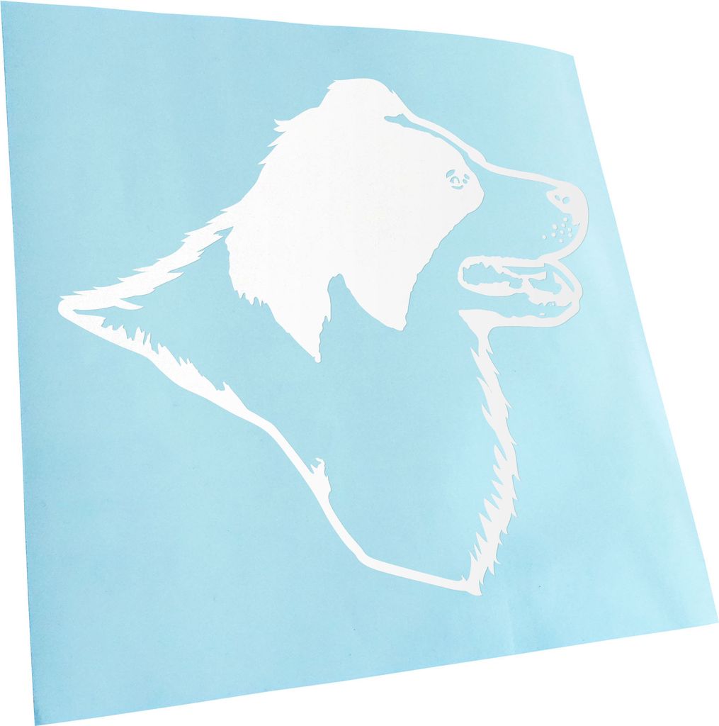 Kiwistar - Autoaufkleber - Border Collie Hund - Weiss - 24x22cm - Aufkleber für Auto, Laptop, Fahrrad, LKW, Motorrad mehrfarbig JDM Decal Racing