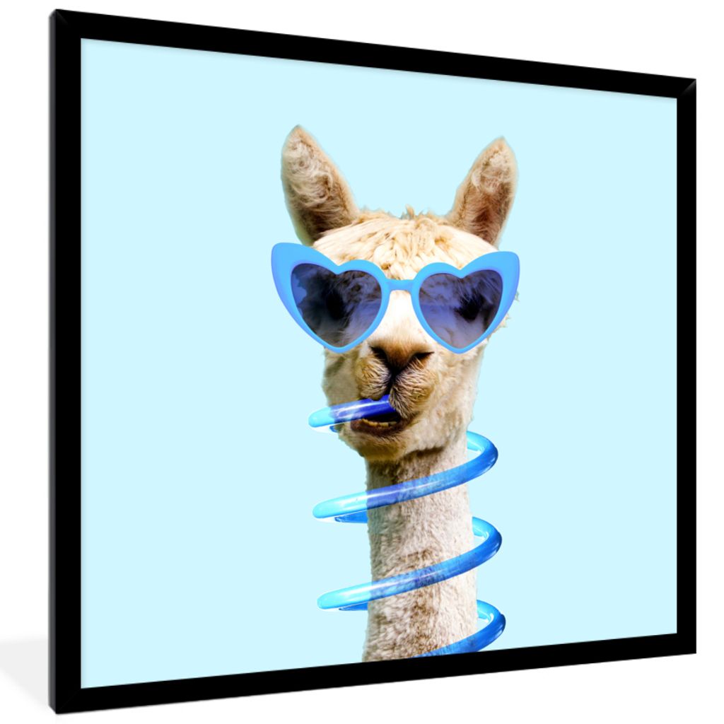 MuchoWow Gerahmtes Poster Lama - Sonnenbrille - Blau - Tier 40x40 cm - Poster mit Schwarzem Bilderrahmen Wandposter Rahmen Foto Bilder - Mit Rahm...